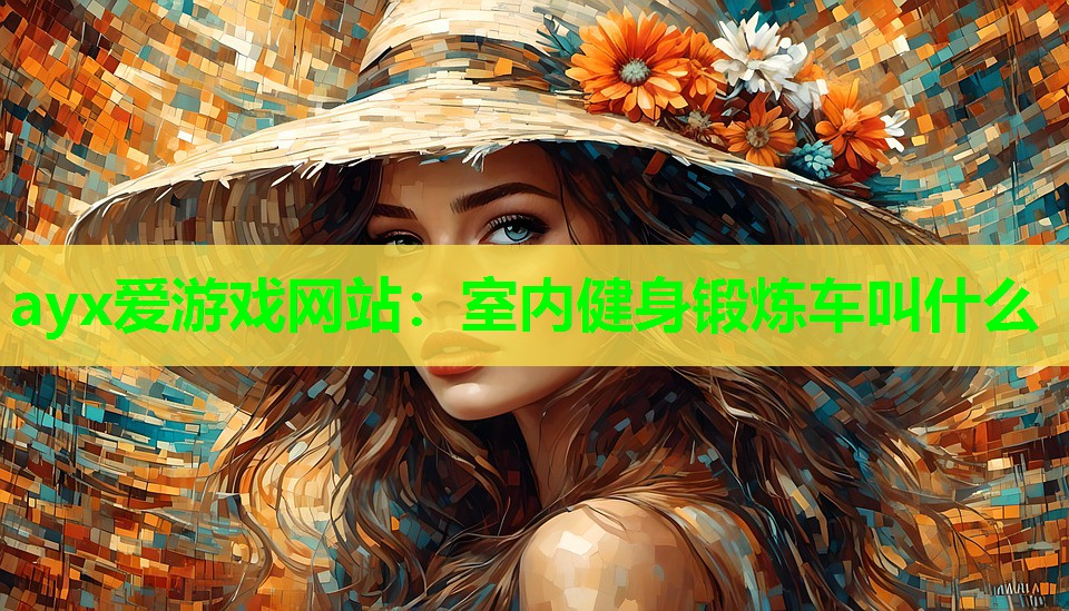 ayx爱游戏网站：室内健身锻炼车叫什么