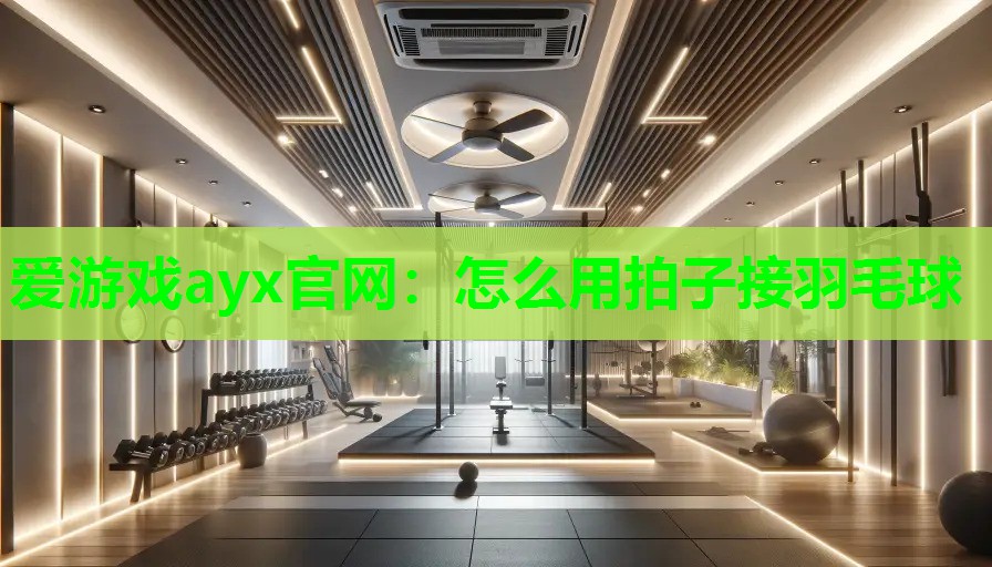 爱游戏ayx官网：怎么用拍子接羽毛球