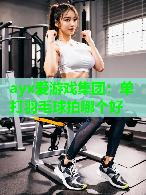 ayx爱游戏集团：单打羽毛球拍哪个好