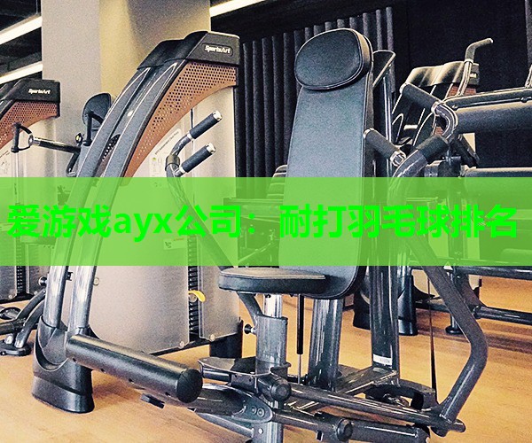 爱游戏ayx公司：耐打羽毛球排名