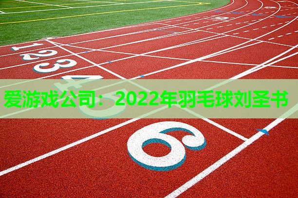 2022年羽毛球刘圣书