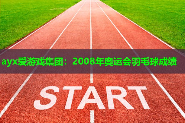 2008年奥运会羽毛球成绩